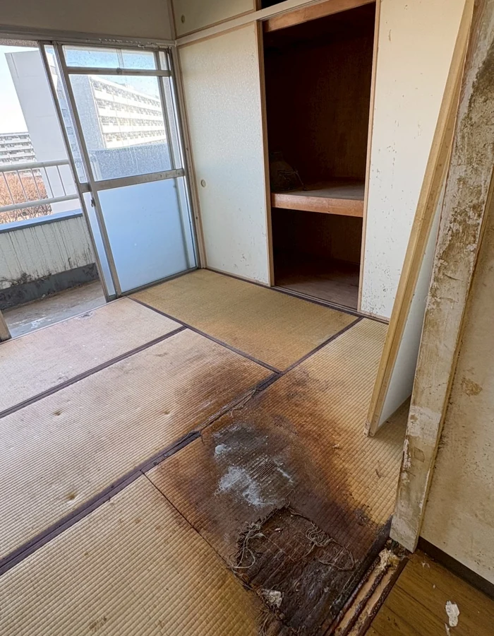 特殊清掃の作業実績：和室の汚染確認・作業前